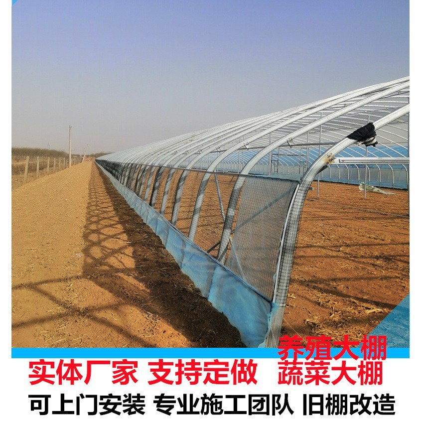 河南 濮阳大棚安装 椭圆管大棚骨架 上门加工安装 蔬菜大棚暖棚