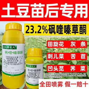 ����23.2%�^�າ�ͪ ��������ó��݄� �rș��Ʒ�F؛���l