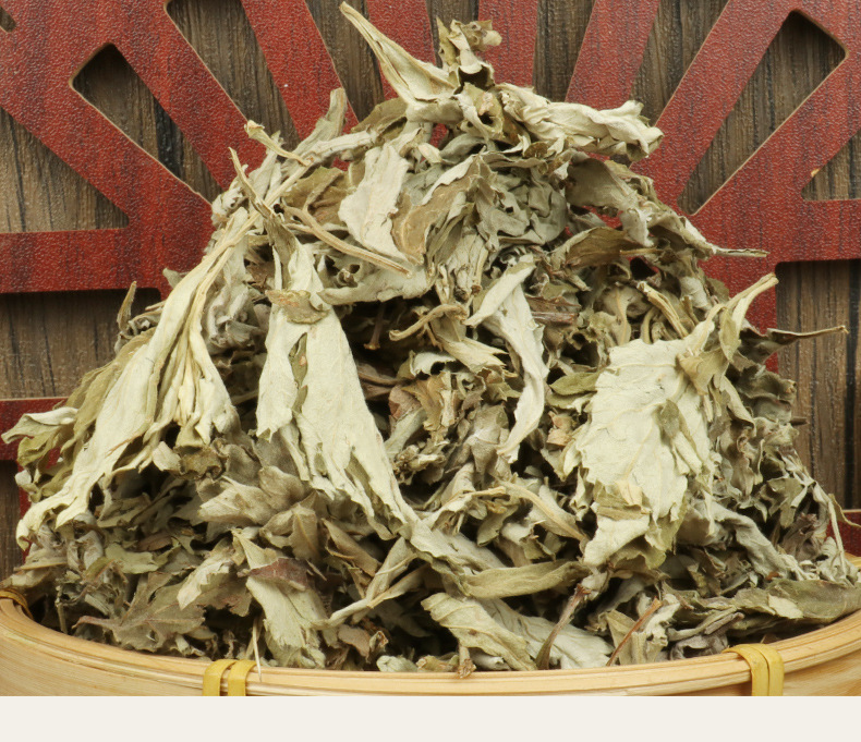 Aged Pure Mugwort Leaves Ai Ye 250g Dried Artemisia argyi for Moxa Rolls and Indoor Herbal Incense in use
