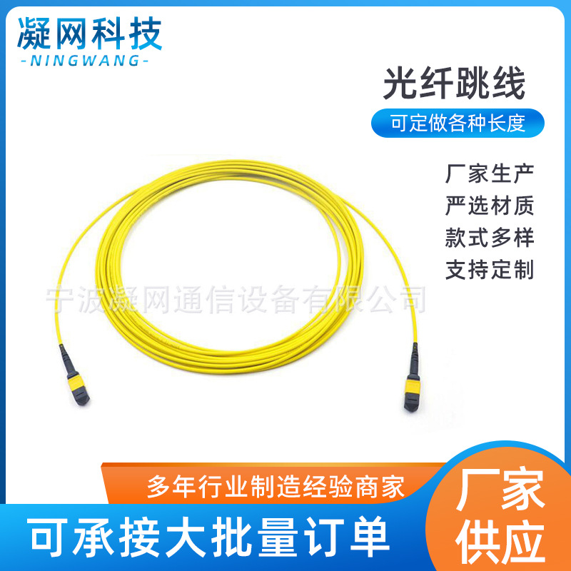 MPO（公头）-MPO（母头）12芯3米单模万兆 MTP光纤跳线