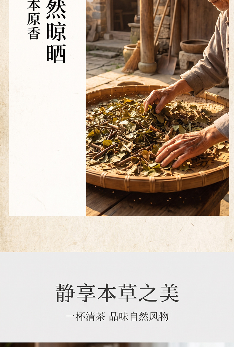 Dried Mulberry Mistletoe Sang Ji Sheng Cut Segments Natural Sun Dried Herb for Decoction and Tea 500g in use
