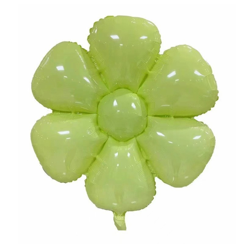 アマゾンの卵の花の小さい菊のアルミニウムの膜の風船は道具を撮影します。|undefined