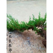 ����ӭ�������͵ذ��쾰�҃����L�����F�k�����Sɽ����ɾ��^���