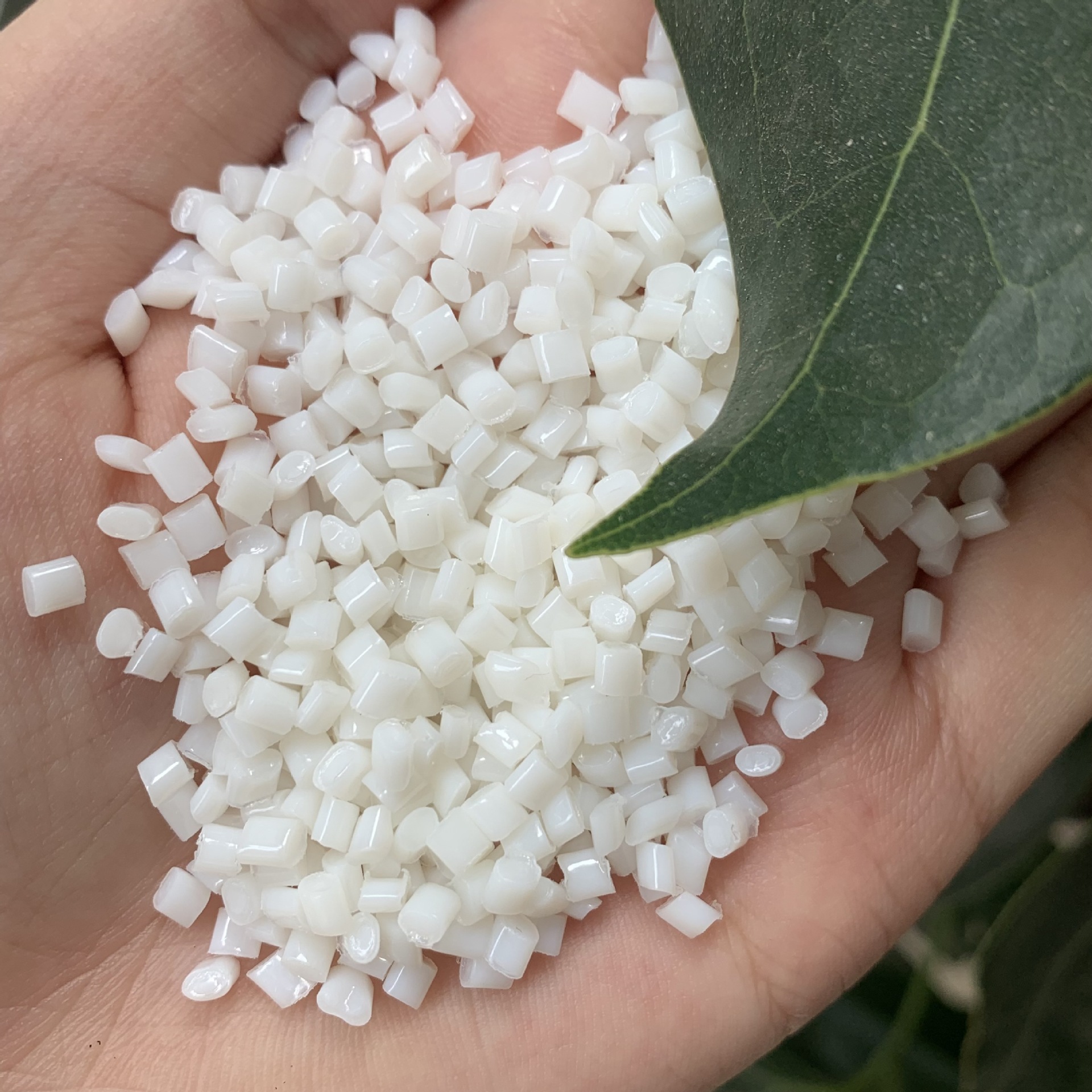 耐高温TPEE台湾新光 DH6000海翠料 运动器材TPEE原料颗粒