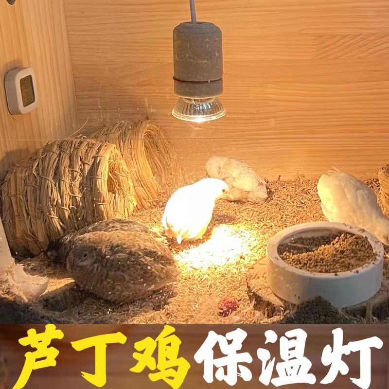 养殖保温灯恒温灯小鸡芦丁鸡鹦鹉育雏取暖灯宠物保温灯爬宠加热灯