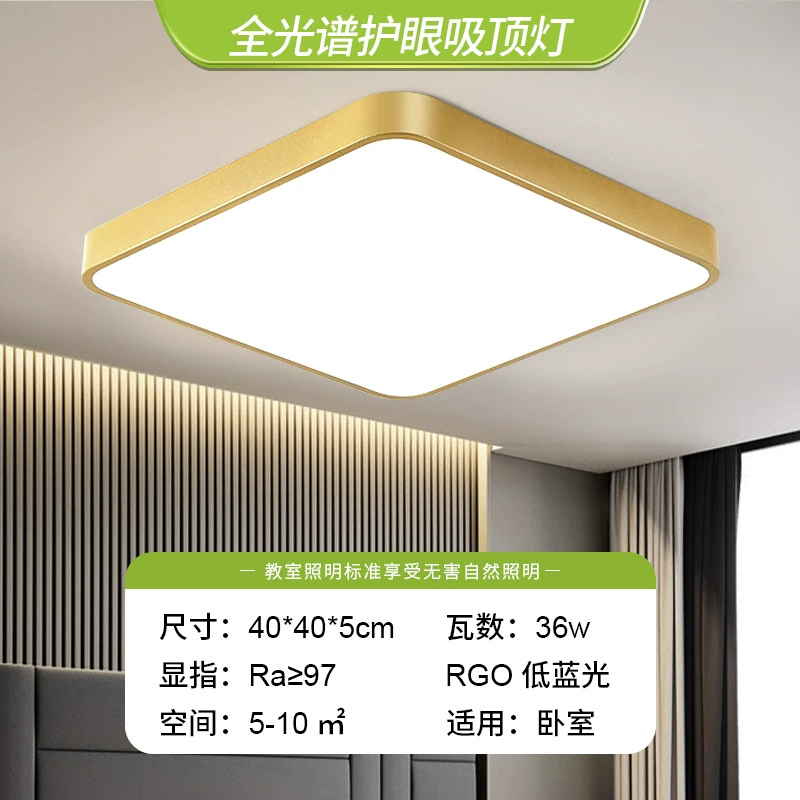 Golden LED ceiling light, lights for corridor, room light, light luxury style