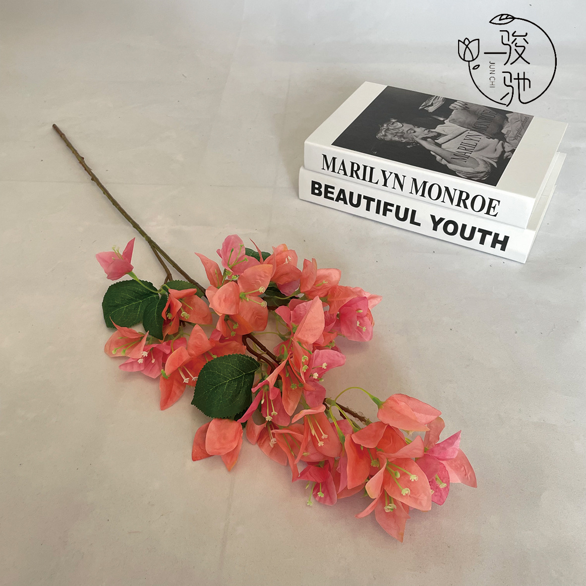 중간 부겐빌레아 샴페인 파우더