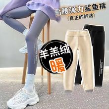 女童打底裤加绒加厚冬季外穿2025新款鲨鱼裤儿童芭比特厚加绒裤女