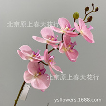 高枝仿真蝴蝶兰批发婚庆宴会装饰商业背景墙摄影道具假花仿真花