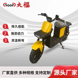 电动摩托车;其他电动车;两轮摩托车