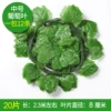 Medium-20 leaf tablet grape leaves (12 packs)