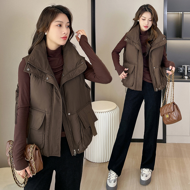 Short demi-season fashionable vest with down
