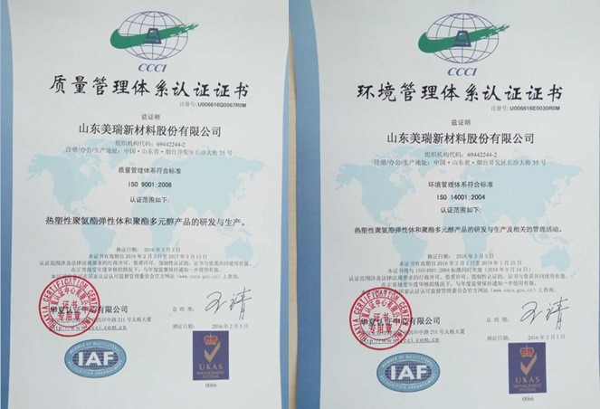 环境管理体系认证