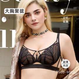 多彩多姿内衣女大胸显小软钢圈超薄性感聚拢防凸点侧收副乳文胸罩