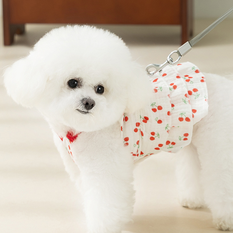 Primavera y verano perro princesa viento dulce cereza vestido de gasa transpirable gato vestido de peluche para mascotas