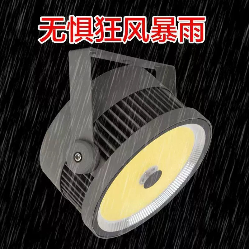 集鱼灯1000瓦捕鱼灯大功率诱鱼灯户外防水新款引鱼灯蓝光