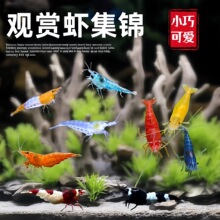 �ښ��r�~��ˮ���坍���幤���^�p���r������w��ϵ�ˮ���쾰
