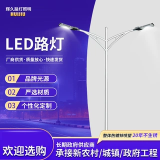 中杆灯led灯路灯一体杆户外照明双臂灯投光灯定制灯6米强光大功率