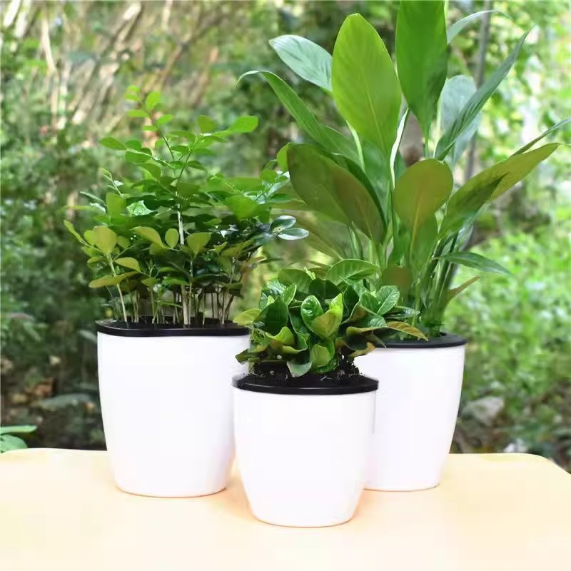 怠け者の植木鉢、自動吸水性ポトス植木鉢、怠け者の鉢、水耕栽培鉢、水やり不要のプラスチック模造セラミック自吸式鉢|undefined