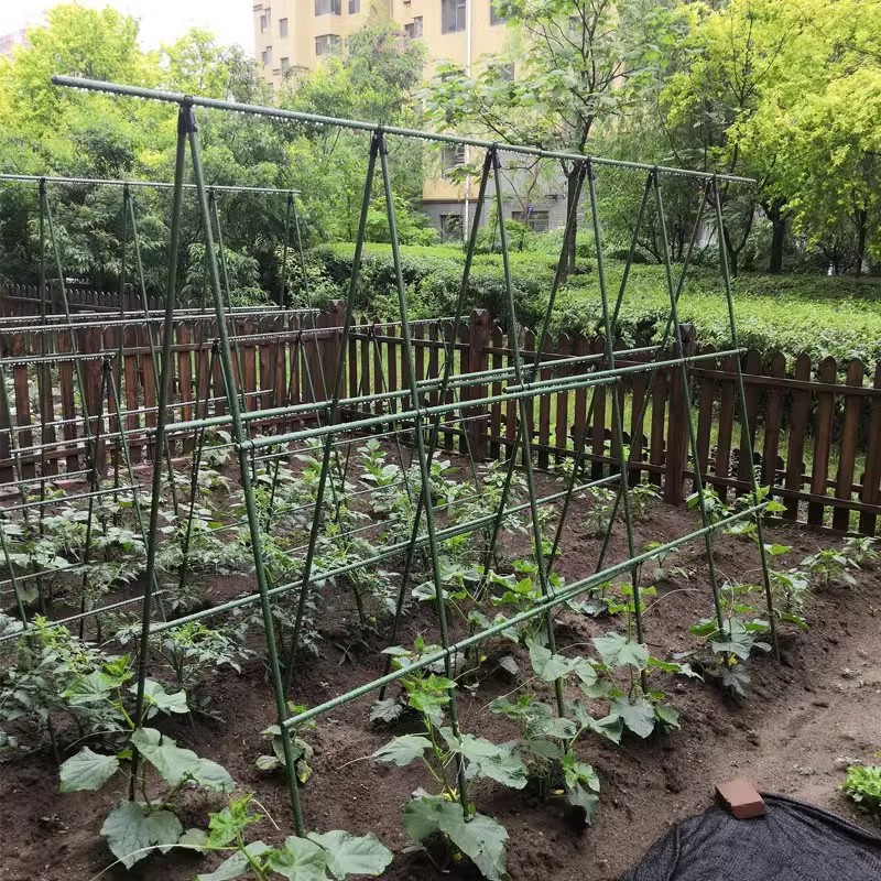 Marco de enredadera de pepino, estante de verduras de frijoles, caja de plantación de tomate, marco de enredadera, poste de soporte fijo, estante de jardinería