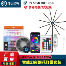 5v 幻彩烟花灯 usb 低压led装饰烟花灯带蓝牙声控rgb氛围跨境专供
