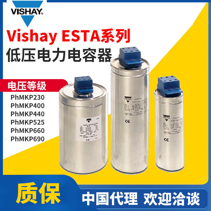 中国代理Vishay ESTA系列电容器低压电力电容器phmkp230/phmkp400