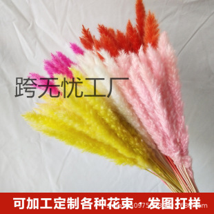 �ɻ������Ҿ��b�c��������˹��Ϲ��S�F؛���l�羳����֧���N