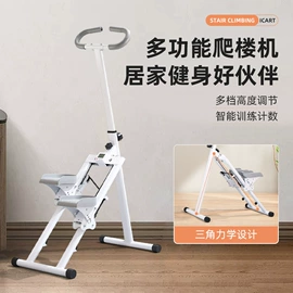 踏步机;健腹器;其他健身器材