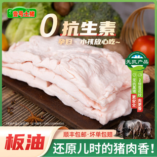 �i�Ͱ����������i���rʳ���i����20���b���i�i����߅���]���l