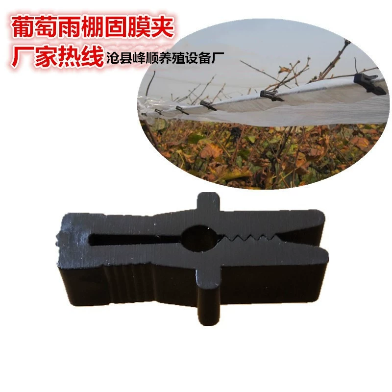 Завод питания фильм нажав карты клип фильм клип фруктовое дерево парниковый фильм клип виноград жилье клип