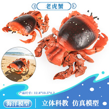 �羳�����J֪�ϻ�зģ�ͼٺ��rˮ�a�F��з�~�ה[��֩��з��з��з