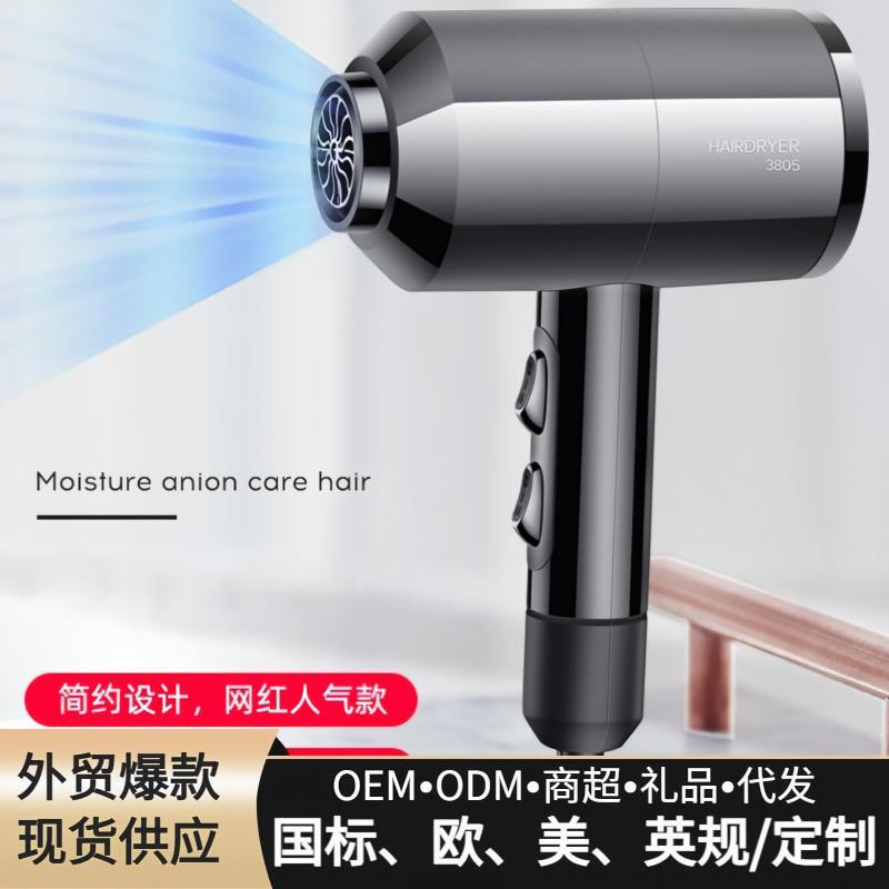 Hammer Hair Dryer High-Power Electric Hair Dryer 110V220V Hair Salon Hair Dryer European and American British Standard Foreign Trade Southeast Asia