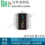 切换功率单声道输出功放