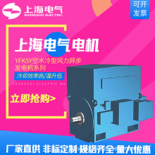 上海电气集团上海电机厂发电机YFKSY空水冷型风力异步1500kW 厂商