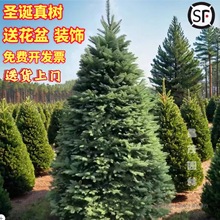 ���}�Q���}�Q����� �����}�Q�� �ɼ�}�Q�����}�Q�����ɘ����l