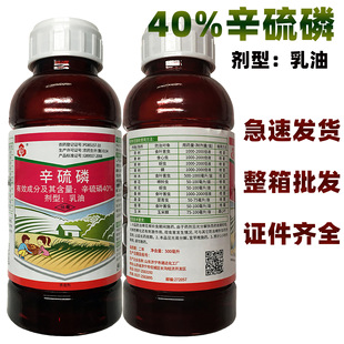 40%���������͹������߲�ʳ�~���x���x�\ʳ���x�rș���x�����l