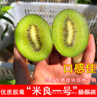 �����������J���Ҙ���޽ӾG���殐��������Ү���Y���������