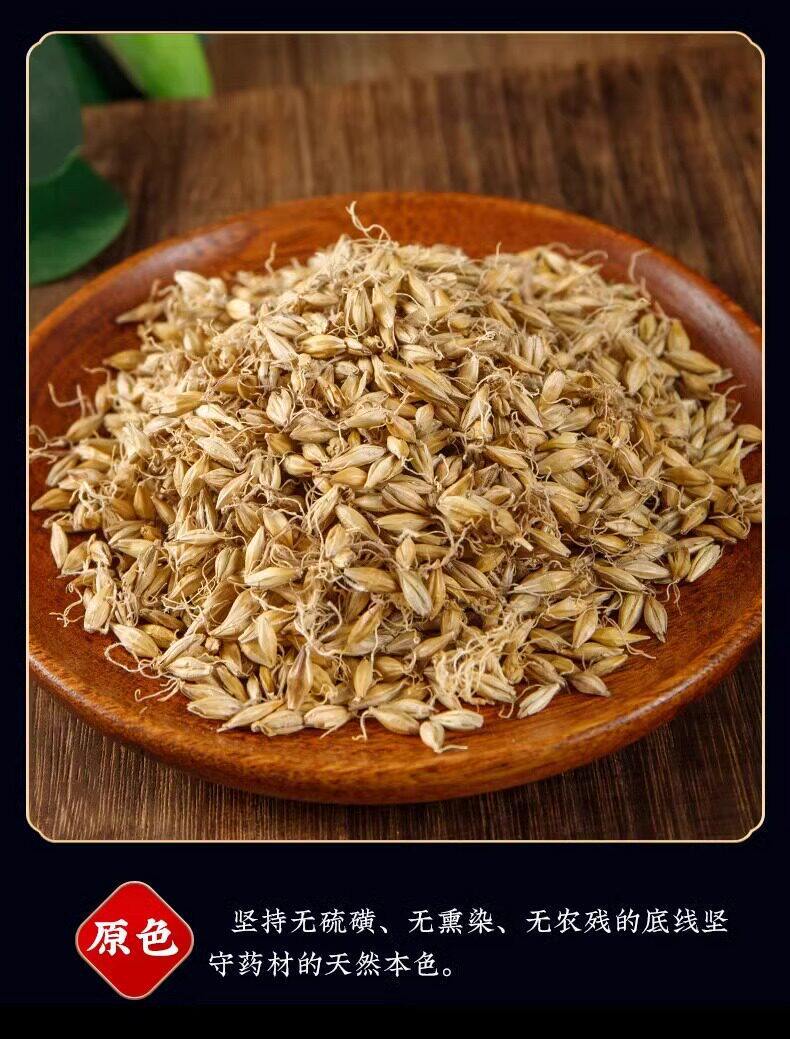Raw Mai Ya Dried Barley Sprout Grain for Herbal Decoction and Tea 500g in use