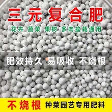 ʼͨ͏ͺϷʷN˷Nص⛷ԻܹЙC