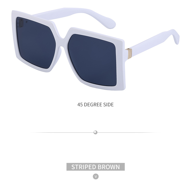 2021 New European And American Fashion Sunglasses Men's Trend Cross-border Sunglasses display picture 4