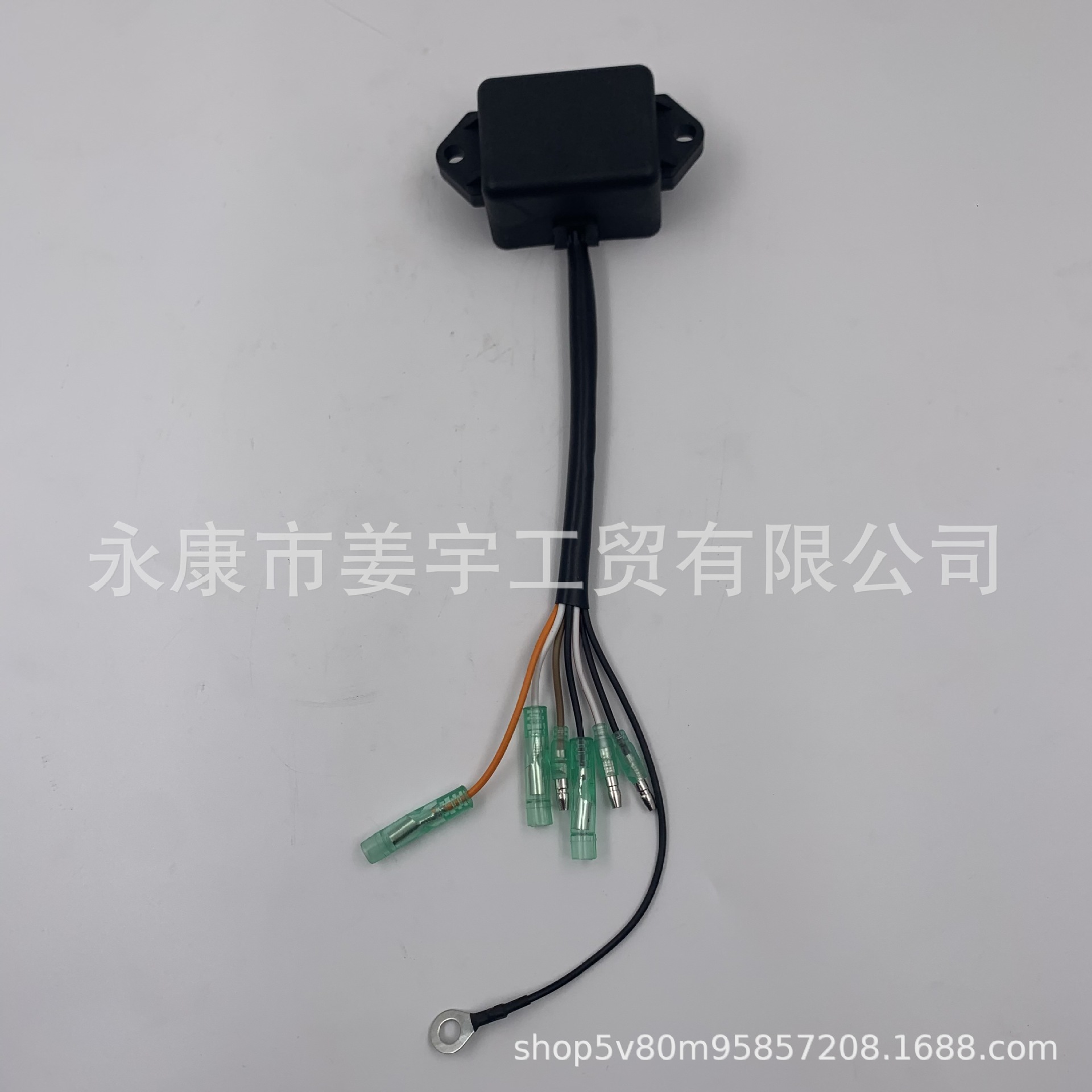 船外机配件雅马哈 T8电脑版 CDI点火器 点火线圈696-85540-12