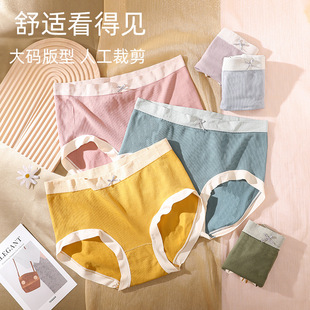�o�ۃ�ѝŮ�ش�a��mm�o�p300������������ǃ�ѝ�ӷʼӴ�200��