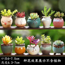 多肉花盆陶瓷简约室内桌面家用肉肉植物创意拇指小花盆器工厂直销