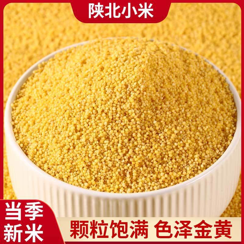 陝西省北部産黄小米2500g卸売、陝西省米脂産小米、米油豊富、雑穀、香り豊かでもちもちした小米粥|undefined