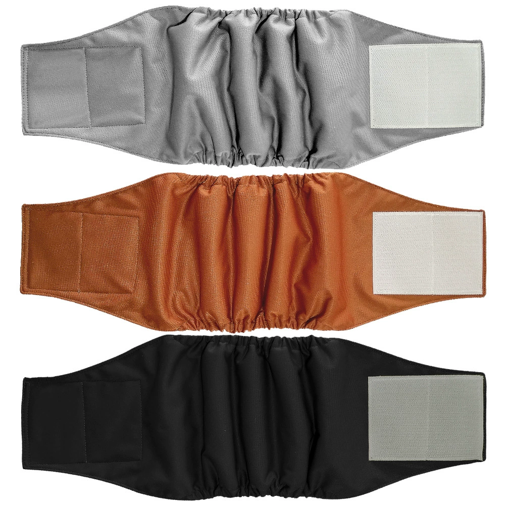 Вежливый кобель собаки с Тедди золотистый ретривер подгузники для домашних животных физиологические штаны моющаяся Одежда для собак антитравмационные физиологические штаны