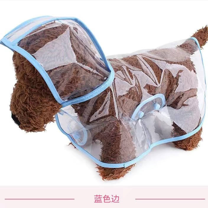 파란색 가장자리