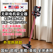 �羳��ˢ��������������ֳ�ǿ�����ʴ����������ֳ�ʽ��������