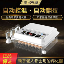 ���l������С�ͼ���ȫ�Ԅ����ܷ����C����С�B�������J���u�a�ط�