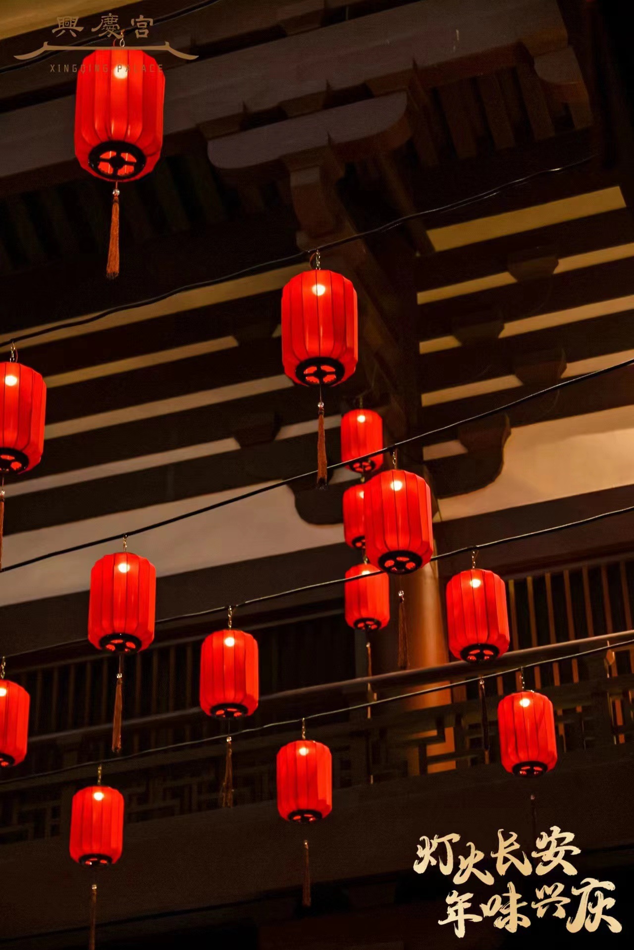 微信图片_202302130959451