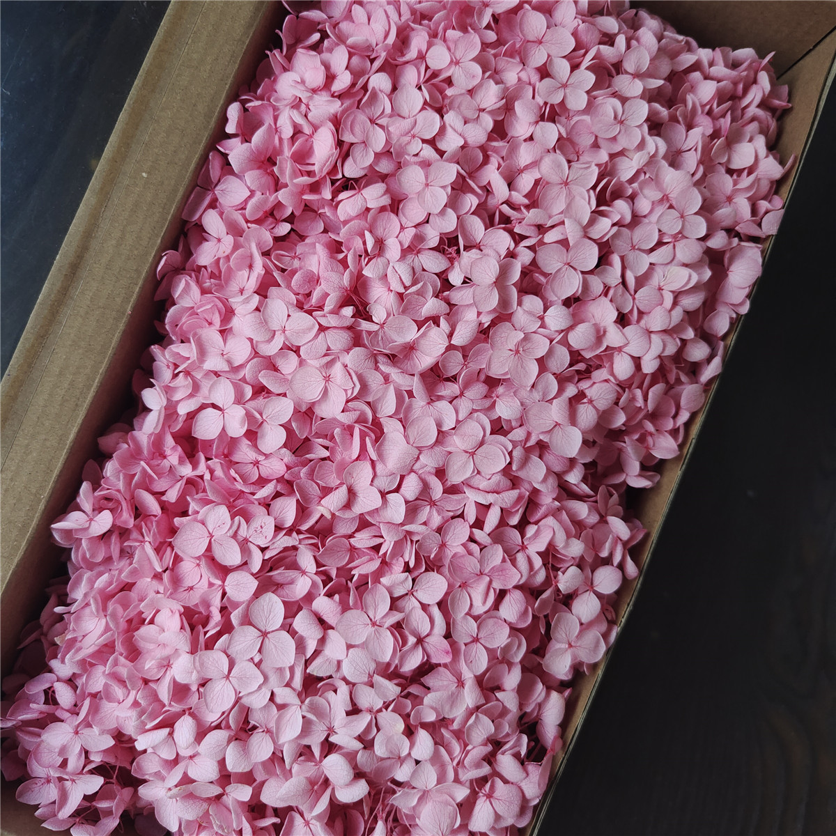 Flor eterna Hortensia Anna pequeña hoja flor seca flor real árbol de Navidad ventilador hecho a mano ramo DIY material paquete flor